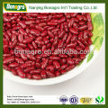 canned red kidney beans british type dried